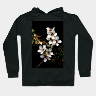 Prickly Tea Tree Hoodie